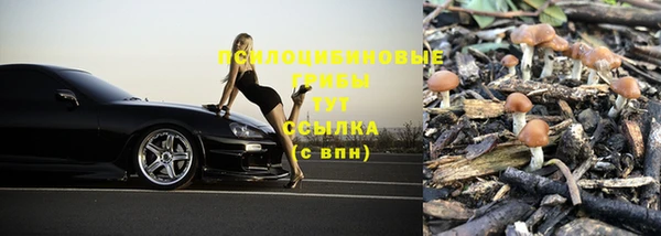 дурь Нефтекумск