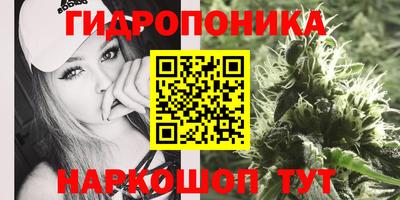 ALPHA PVP Кимры
