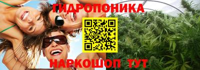 ALPHA PVP Кимры