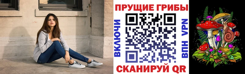 Галлюциногенные грибы прущие грибы  даркнет сайт  Усть-Лабинск 