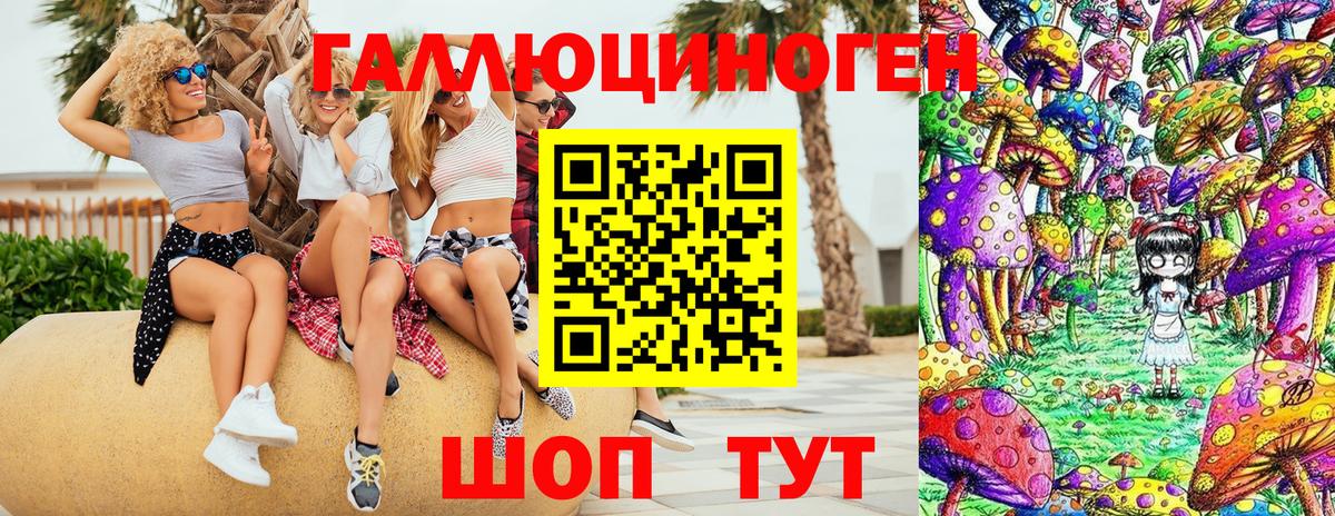 Псилоцибиновые грибы GOLDEN TEACHER Усть-Лабинск