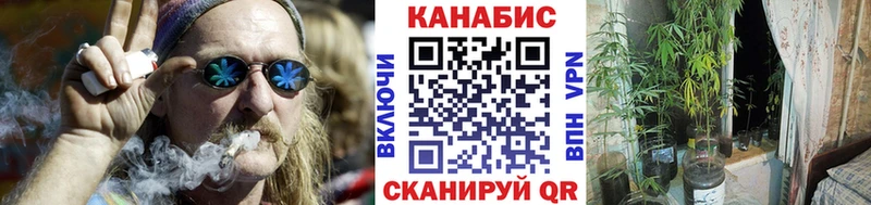 omg   Усть-Лабинск  Каннабис VHQ 